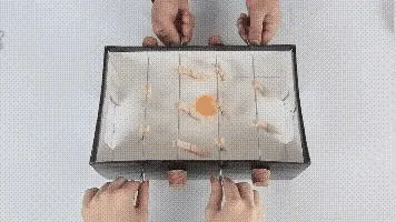 手眼协调小游戏,轻松提升能力!