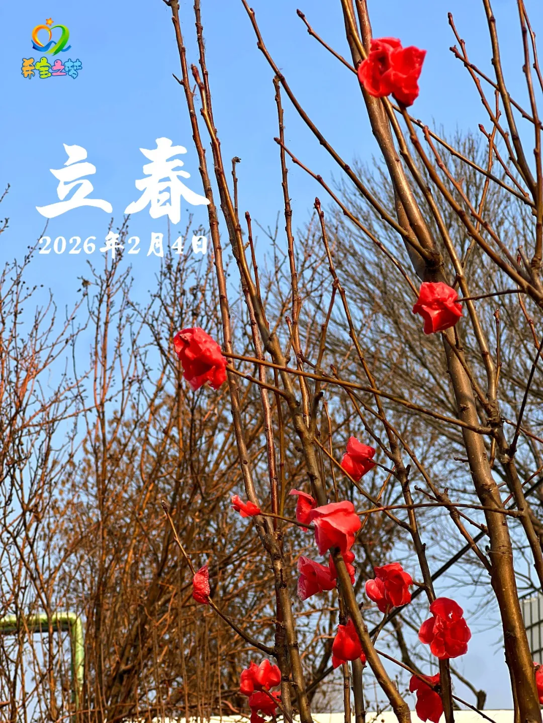 二十四节气丨春阳初萌启新序  稚童养护顺生机