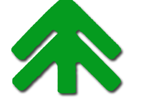 合肥天天向上机构logo