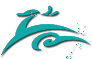 深圳九色鹿机构logo