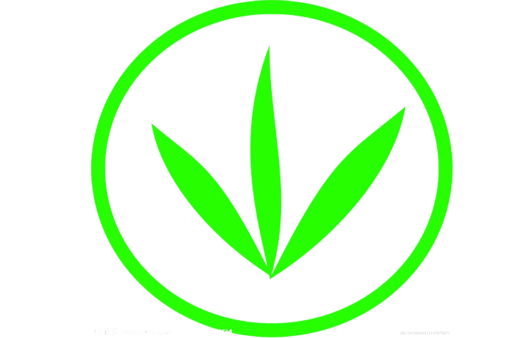 上海飞叶机构logo