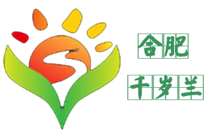 合肥千岁兰机构logo