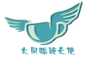 大同聪颖天使机构logo
