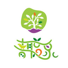 上海青聪泉儿童智能训练中心机构logo