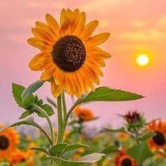 天津北辰区馨悟康复中心机构logo