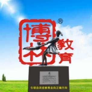 深圳市盛大博林少儿康复中心机构logo