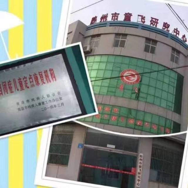 胶州童飞机构logo